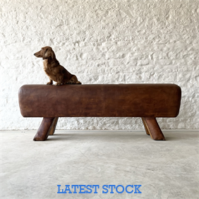 Vintage Leather Pommel Horse / Bench
