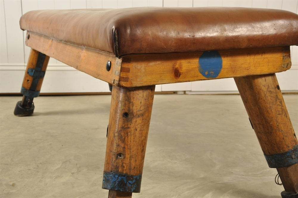 Leather online gym bench
