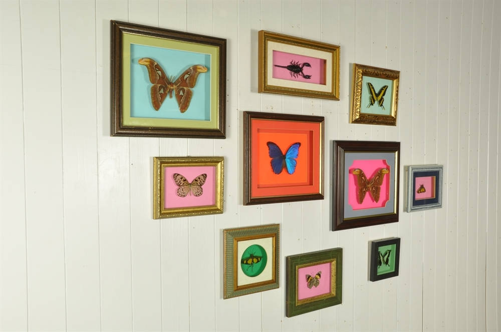 Butterfly Collection- Original House - Vintage Industrial Furniture and