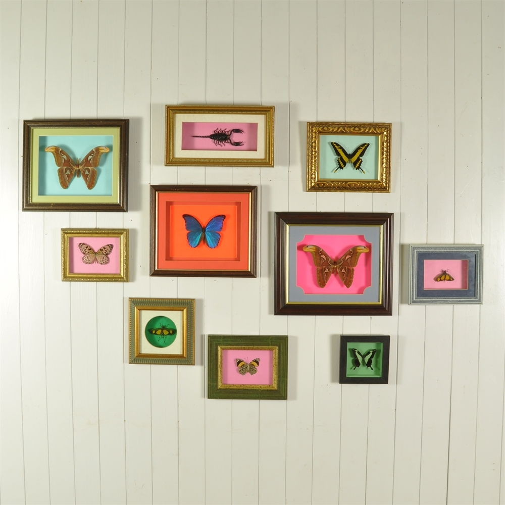 Butterfly Collection- Original House - Vintage Industrial Furniture and