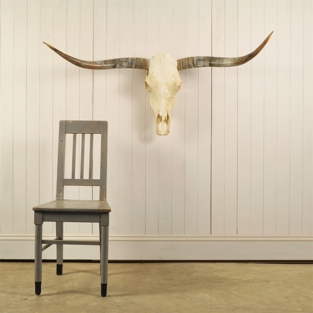 Texas Longhorn Steer Skulls Original House Decorative Antiques