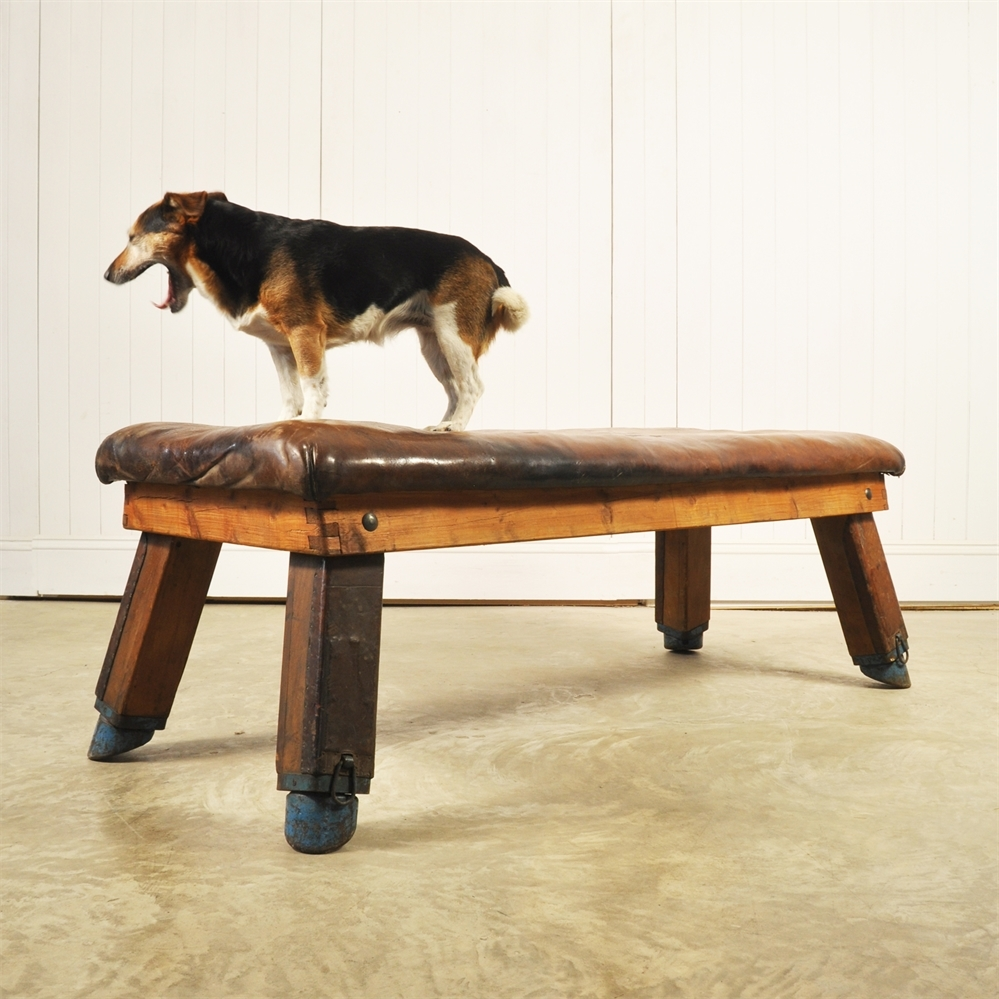Leather gym bench cheap