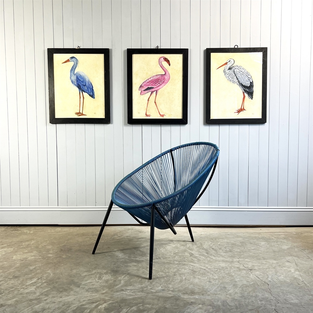 Barbara Gallorini’s Birds