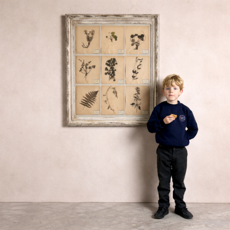 Framed Botanical Prints